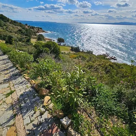 公寓 Dream Sea And Chios View Rooftop